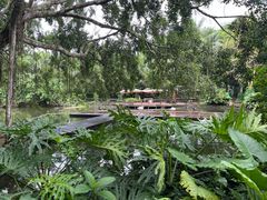 -海南热带野生动植物园