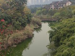 -张坝桂圆林公园