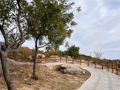 -白水寺森林公园