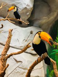 点击看大图 -Zoolung Zoolung动物主题公园(海信广场店)