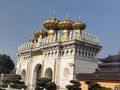 -上海东林寺(金山区)