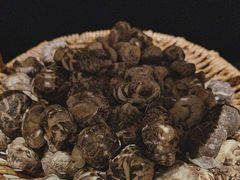 -原鄉本味 楚菜 丹江口鱼(北苑店)