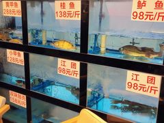 水产区-院8里·小乐园家常味川菜(鹭洲里店)
