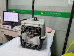 -半岛宠物医院24小时(科华中路店)