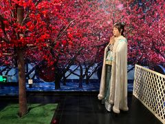 -武汉杜莎夫人蜡像馆
