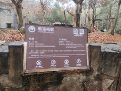 -都江堰中华大熊猫苑