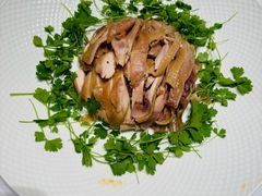 -阿五黄河大鲤鱼(海尚店)