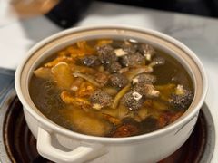 -蘑统田下·野生菌火锅