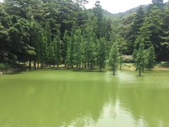 -广州市帽峰山景区