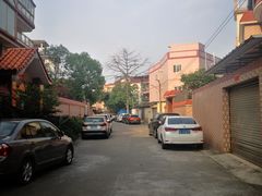 -周大娘牛乳(旧寨古村总店)