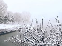 -大兴滨河森林公园