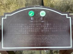 -缙云山景区