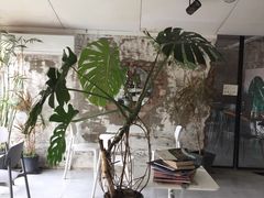 -边渡咖啡烘焙店(昙华林店)
