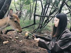 -大连森林动物园