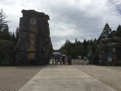 -汤旺河林海奇石景区