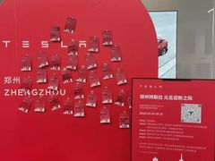 -TESLA 特斯拉(郑州正弘城体验店)