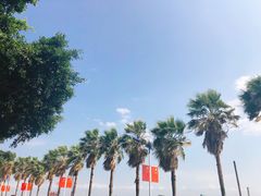 -南沙十九涌渔人码头-南门