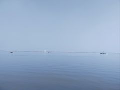 -大湾区中央湿地公园