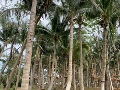 -白沙门生态公园