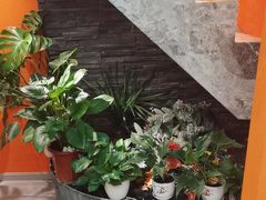 -泰古龙抓龙筋·spa按摩(静安店)