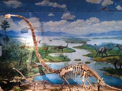 -自贡恐龙博物馆
