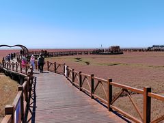 -红海滩国家风景廊道