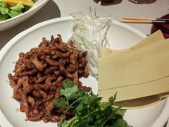 -大鸭梨烤鸭店(花园村店)