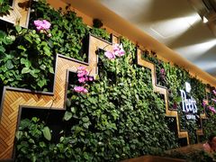 -Peet's Coffee皮爷咖啡(豫园店)