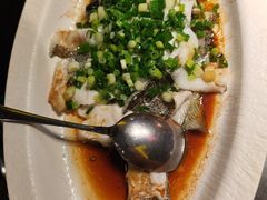 葱油淋鲜白贝鲈鱼-粤·向群饭店(二沙岛店)