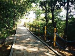 -燕窝岭
