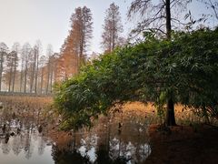 -东湖磨山景区