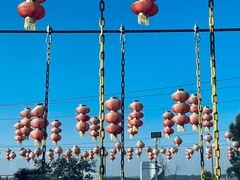 -花之城