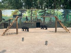 -西安秦岭野生动物园