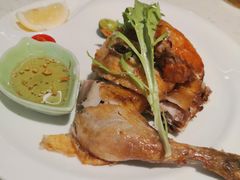 -青叶202都市餐厅(迪诺水镇店)