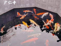 -西安市广仁寺