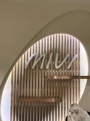 -MIVI·纹眉半永久野生眉