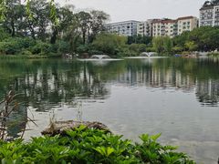 -北湖公园