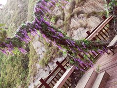 -灵溪风景区