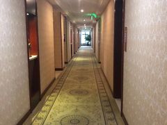 -维也纳国际酒店（上海旅游度假区浦东机场店）-停车点