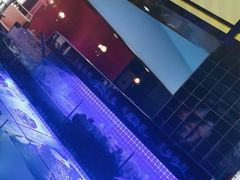 -星海汇海鲜烤肉火锅自助(二七广场百年德化店)