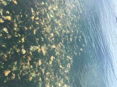 -青岛第三海水浴场