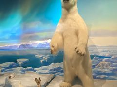 -陕西自然博物馆