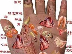 -裕和堂中医推拿艾灸(太古汇臻品店)