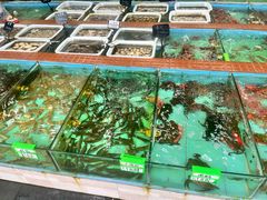 -景好海鲜餐厅(大鹏必选旅游店)