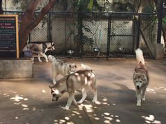 -TrueLove @ Neverland (Husky Cafe)