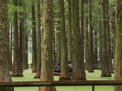 -渌洋湖湿地公园