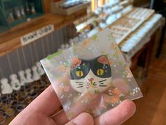 -晋江五店市传统文化旅游区