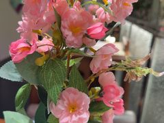 -假装苏杭·迎春花与梅(陆家嘴中心店)