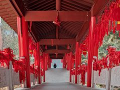 -开福禅寺