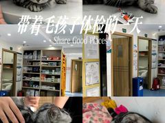 -博特宠物医院24h犬猫全科.骨科·异宠